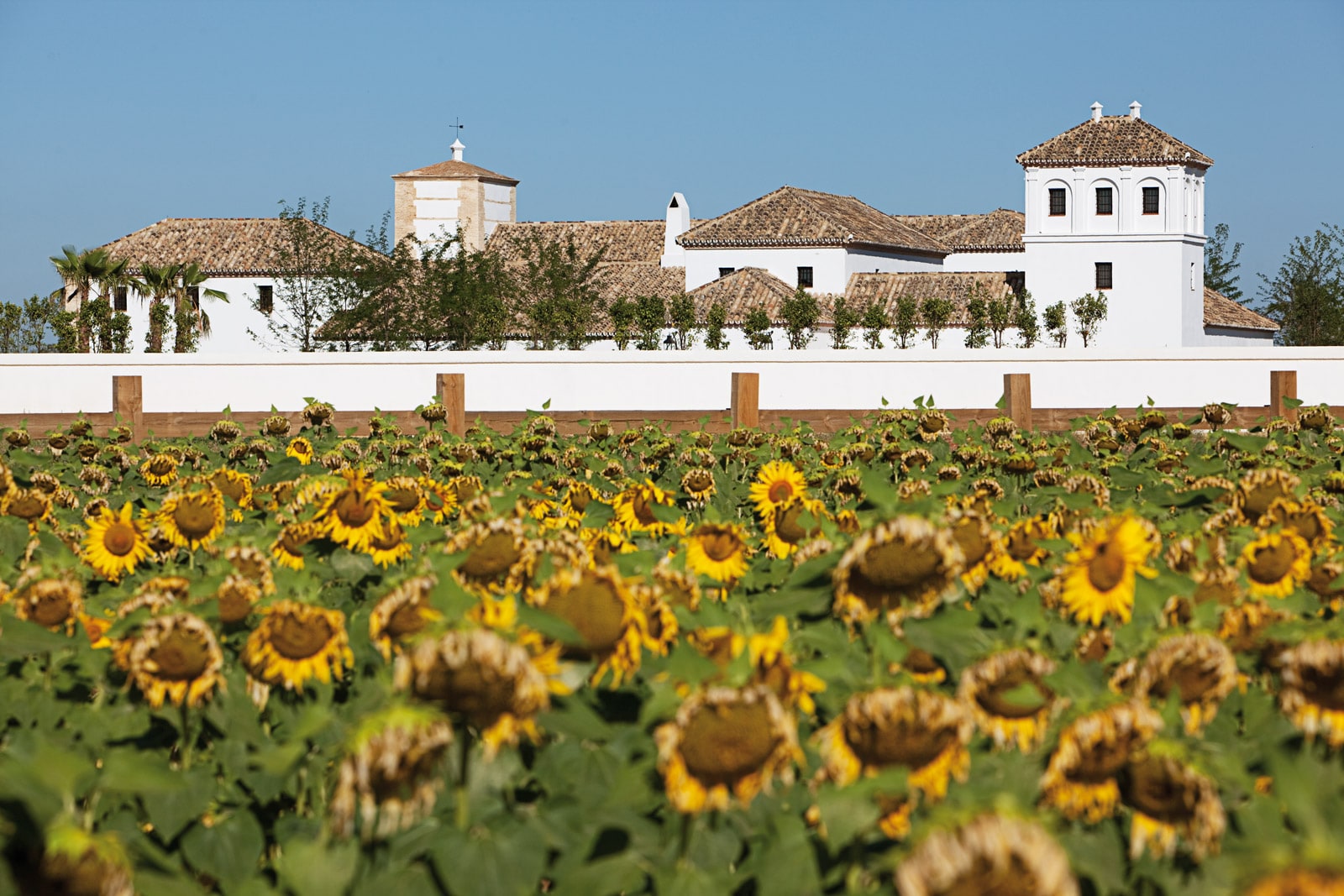 Un cortijo “de diseño”